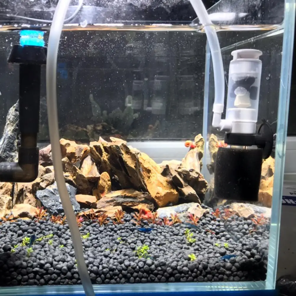 Aquarium Fish In Bowl - Silent Mini Water Pneumatic Filter for