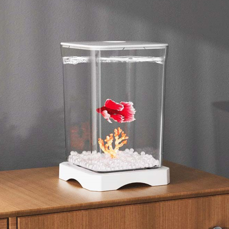 Aquarium Fish In Bowl - Desktop Mini Betta Fish Tank Transparent