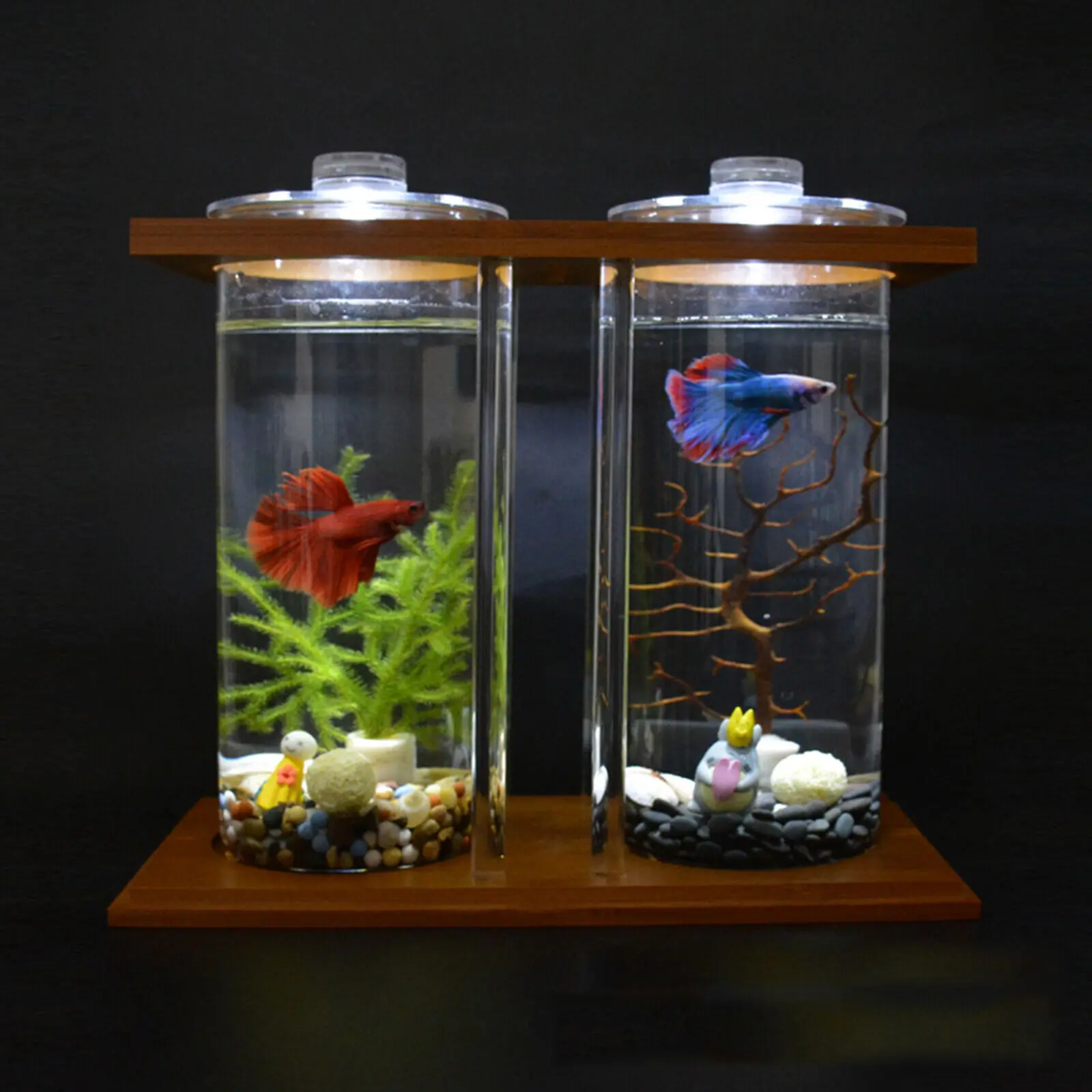 Aquarium Fish In Bowl - Glass Betta Fish Tank with LED