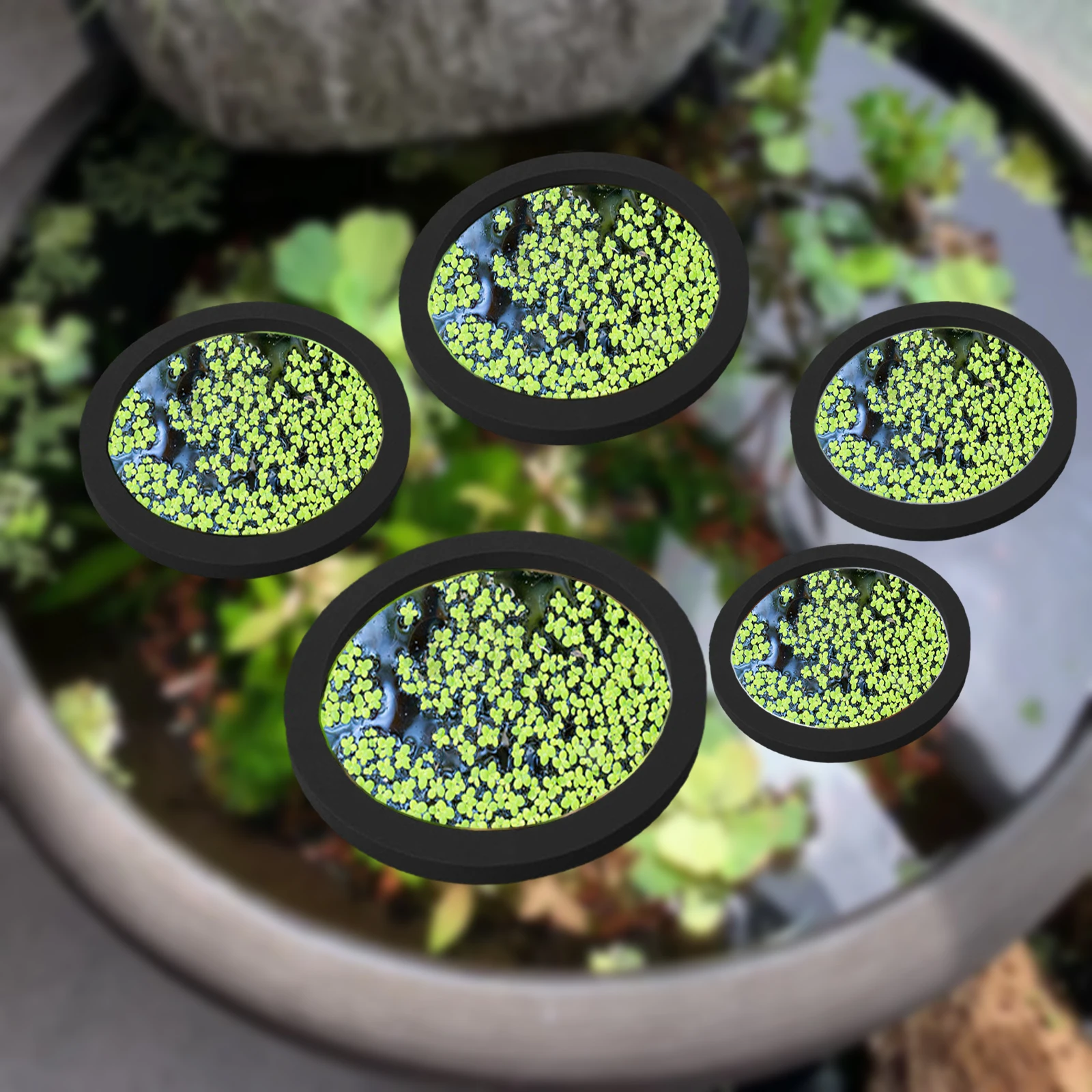 Aquarium Fishes - 5Pcs EVA Fish Feeding Ring Aquarium