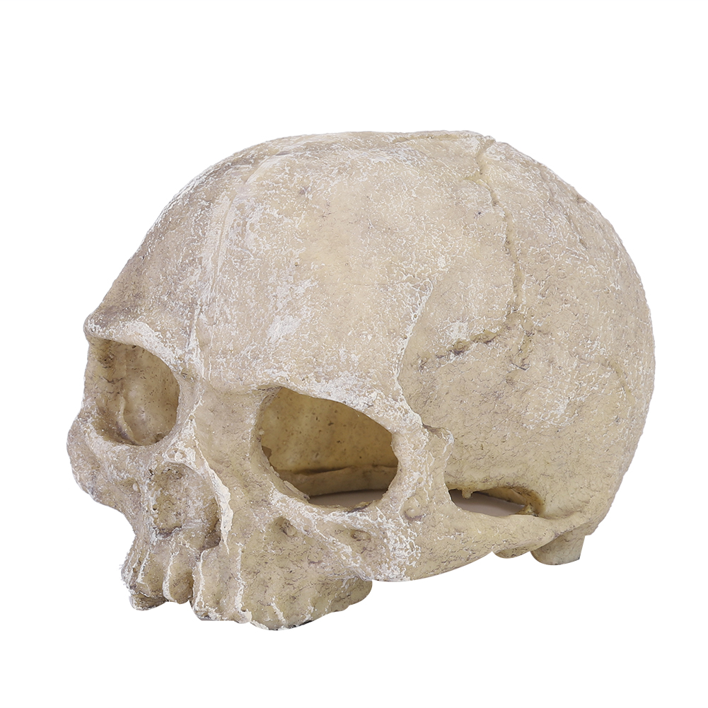 Aquarium Fish Hiding Places - Resin Simulated Head Bone Skull Statue