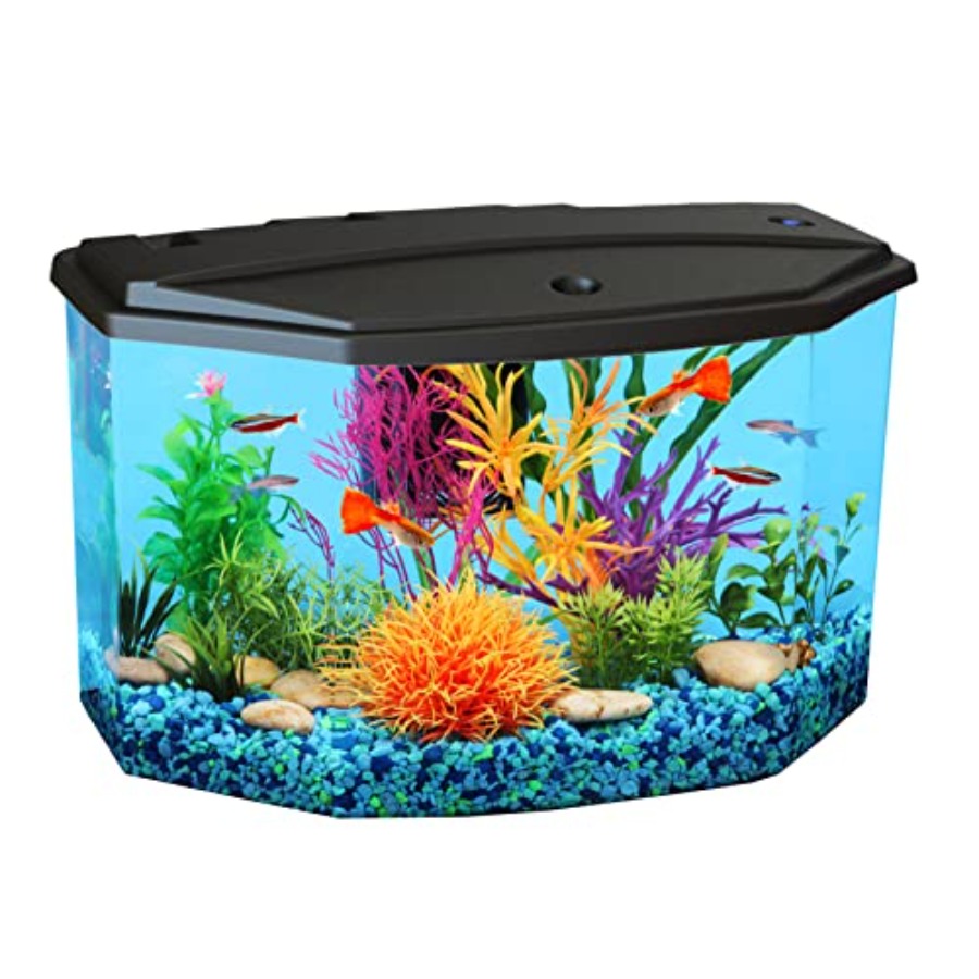 Aquarium Fish Variety - Plastic 3-Gallon Aquarium Starter Kit with