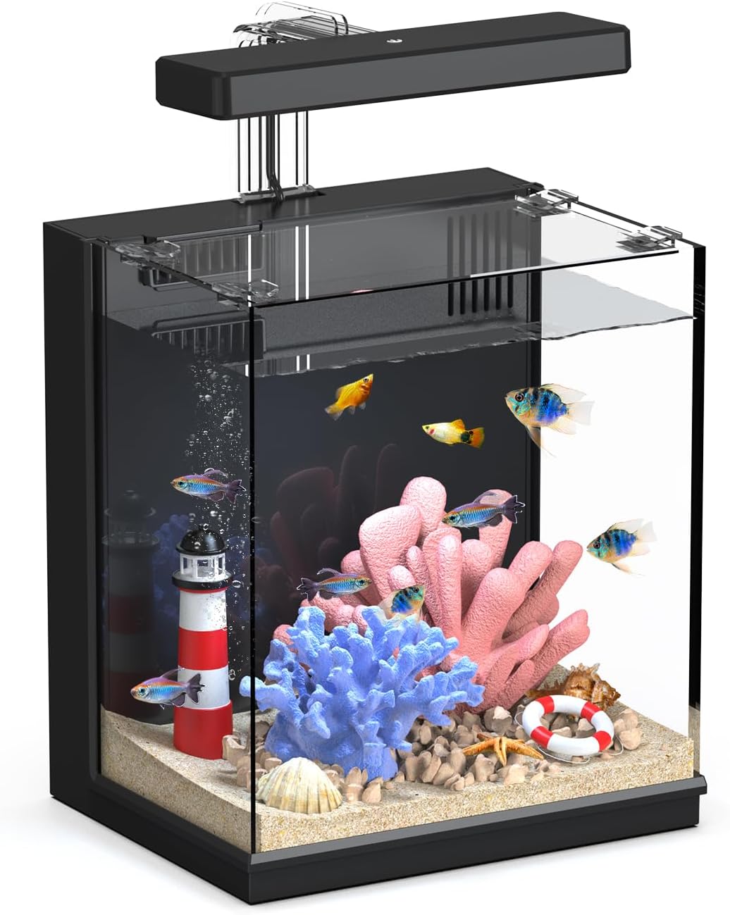 Fish Tank Filter Aquarium - 2 Gallon Betta Fish Tank with