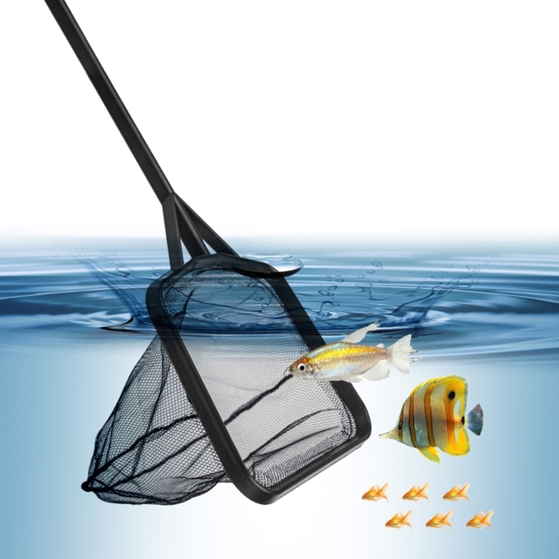 Multiple Length Handle Fishing - Aquarium Fishland のレビューと価格