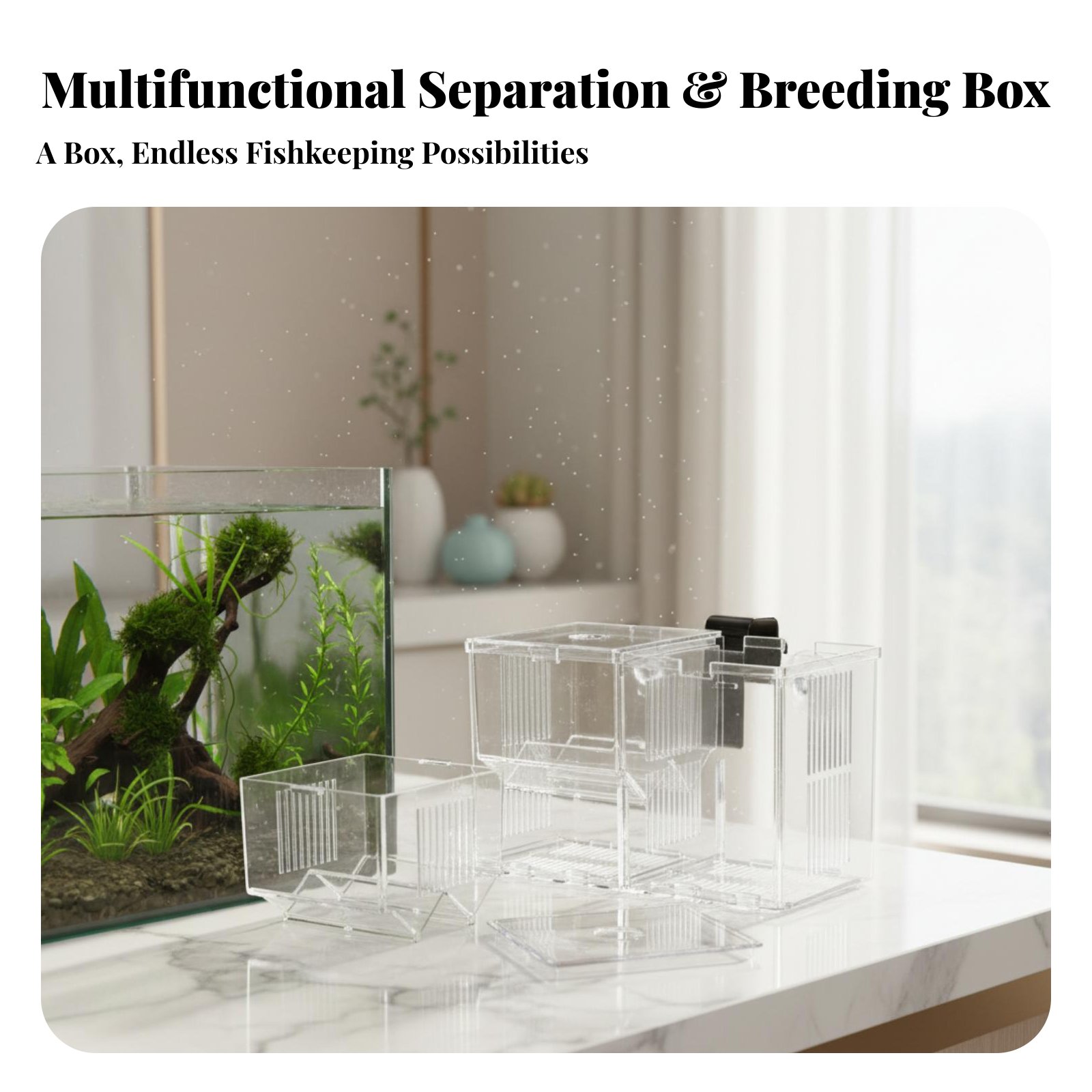 Aquatic Habitat Hatchery Box P - Aquarium Fishes のレビューと価格