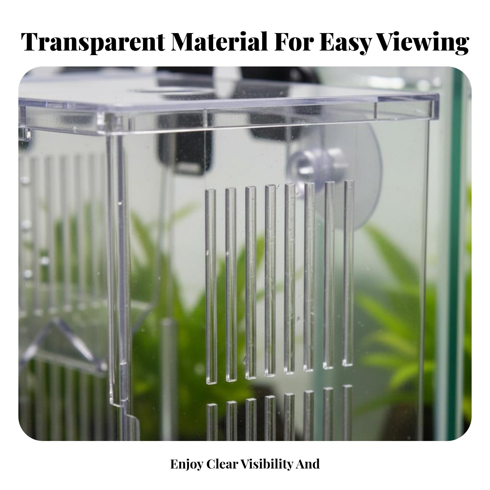 Aquatic Habitat Hatchery Box P - Aquarium Fishes のレビューと価格