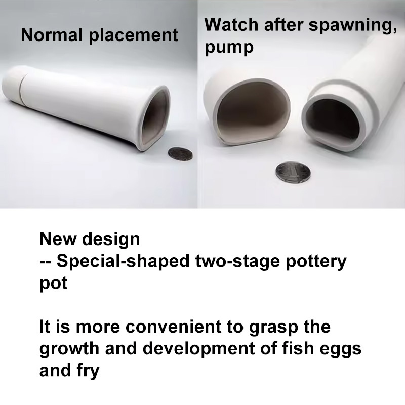 For Fish Shrimp Fish Tank Deco - Aquarium Fish Hiding Places のレビューと価格