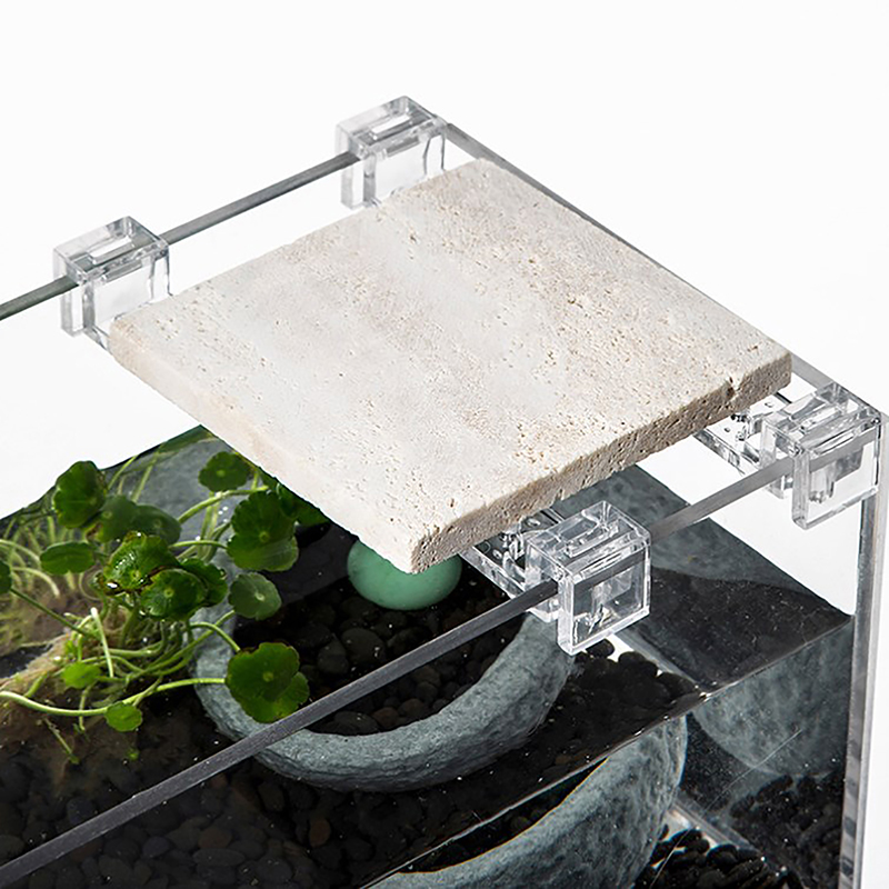 4Pcs Fish Tank Acrylic Clips f - Aquarium Fish Elevator のレビューと価格