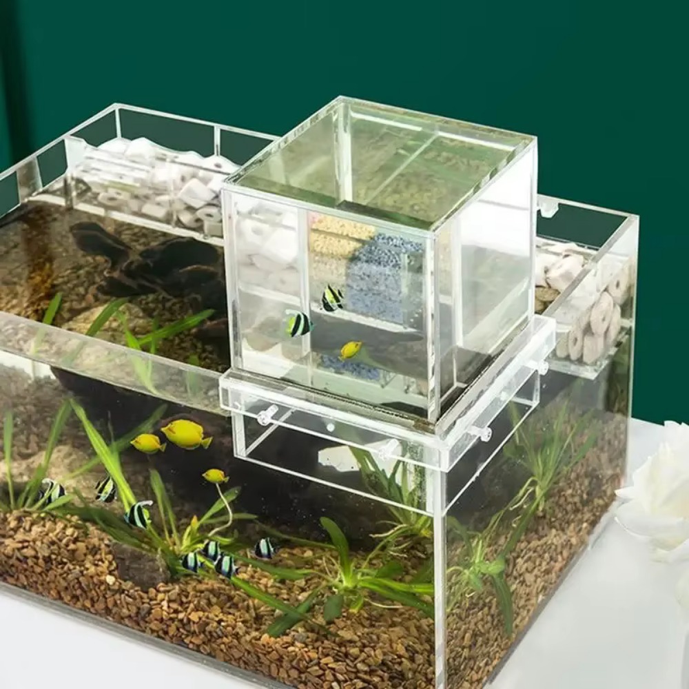 Landscaping Negative Pressure  - Aquarium Goldfish のレビューと価格