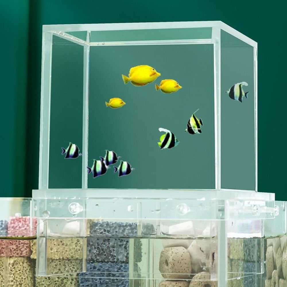 Landscaping Negative Pressure  - Aquarium Goldfish のレビューと価格