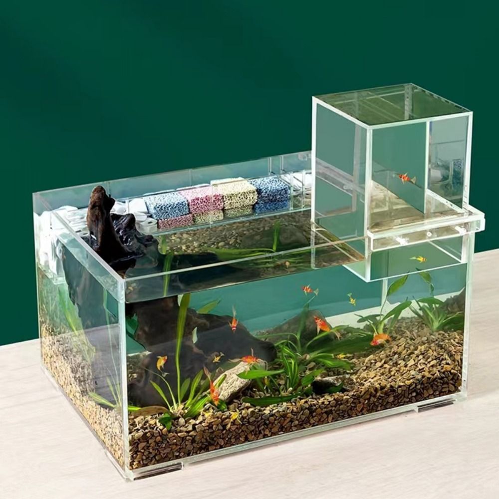 Landscaping Negative Pressure  - Aquarium Goldfish のレビューと価格