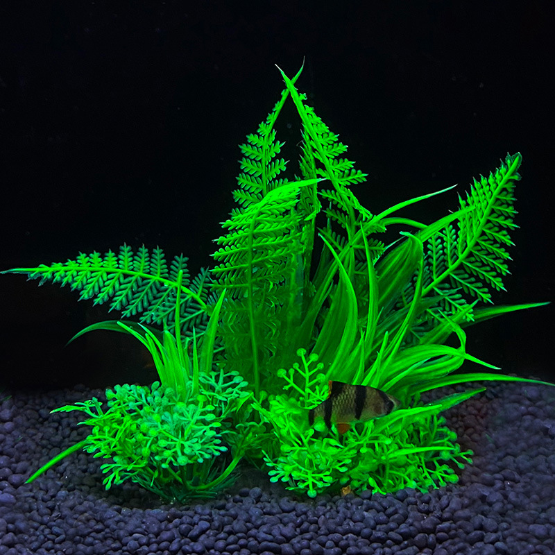 Aquarium decoration a variety  - Aquarium Fish Variety のレビューと価格