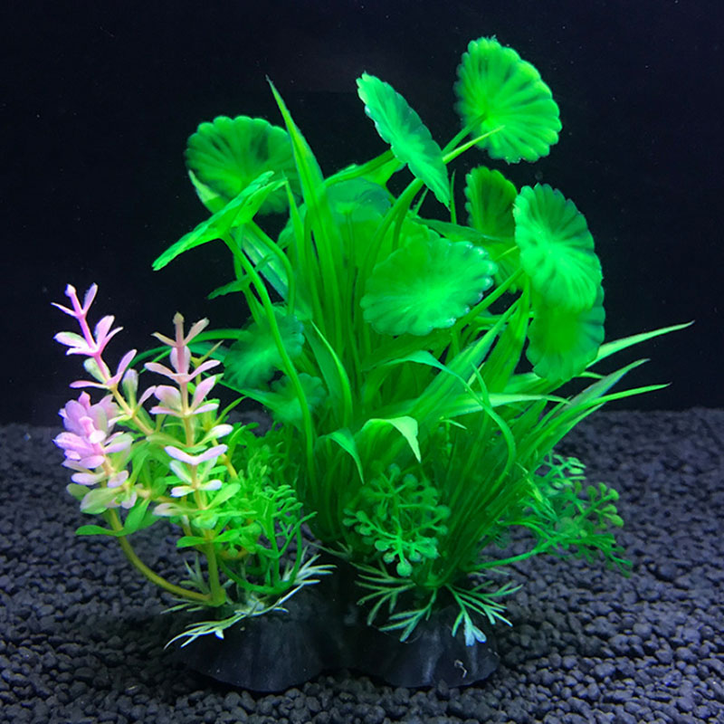 Aquarium decoration a variety  - Aquarium Fish Variety のレビューと価格