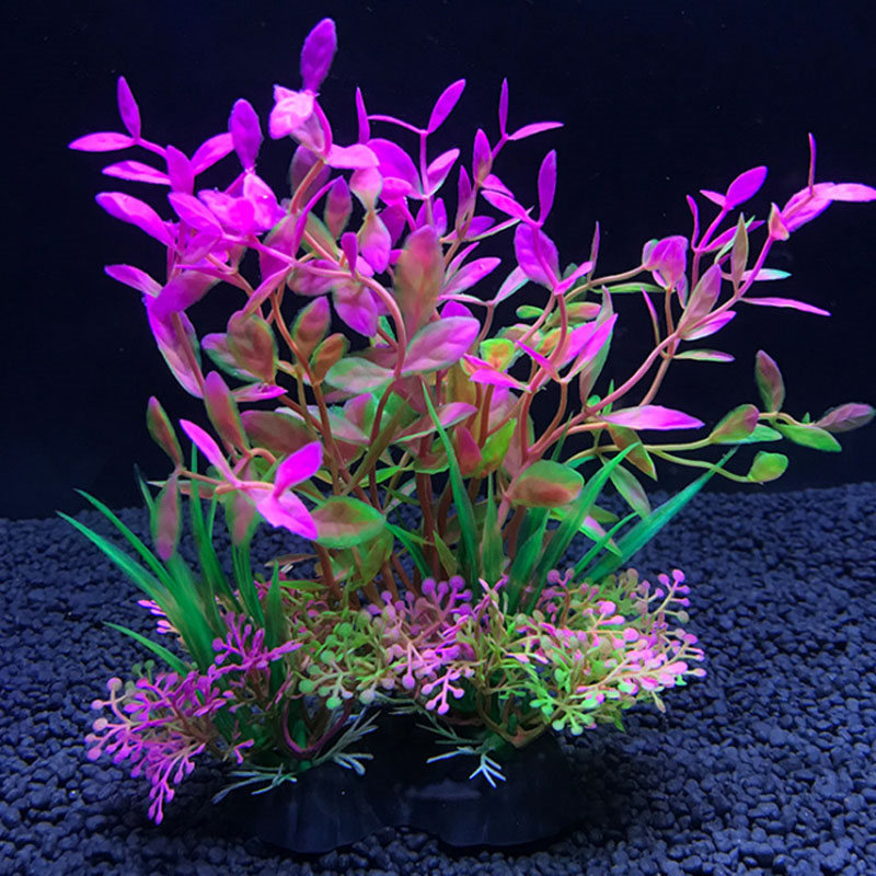 Aquarium decoration a variety  - Aquarium Fish Variety のレビューと価格