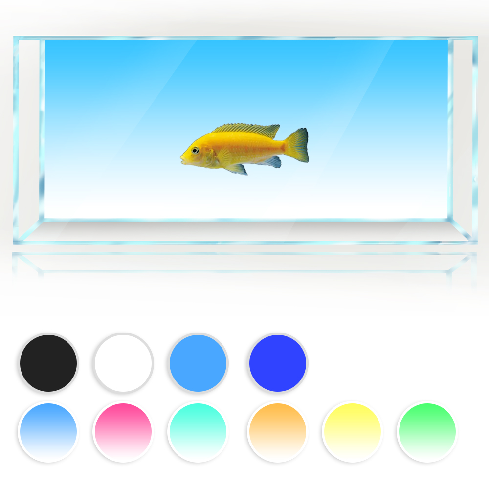 Fish Tank Background White Yel - Aquarium Fish Yellow And Black のレビューと価格