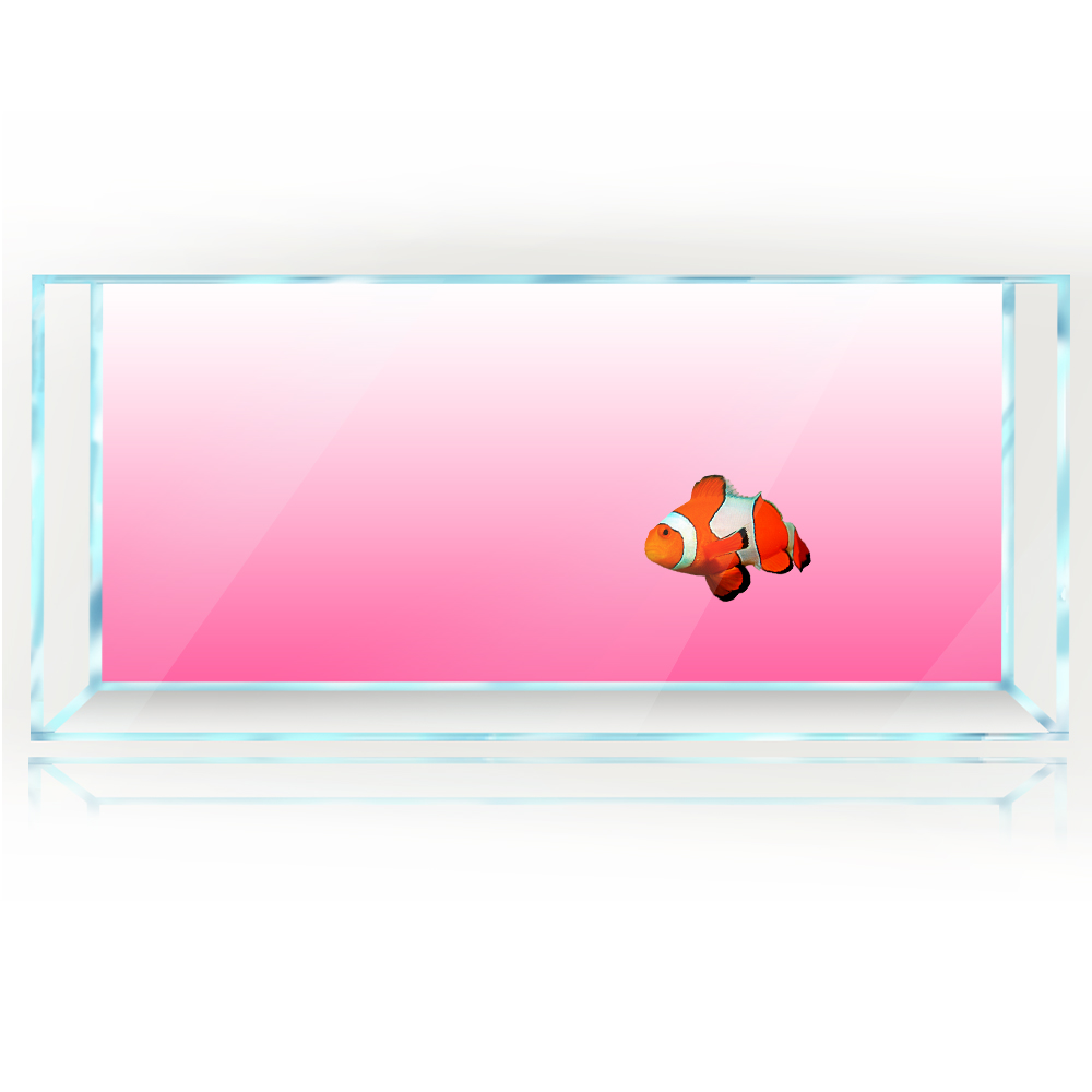 Fish Tank Background White Yel - Aquarium Fish Yellow And Black のレビューと価格