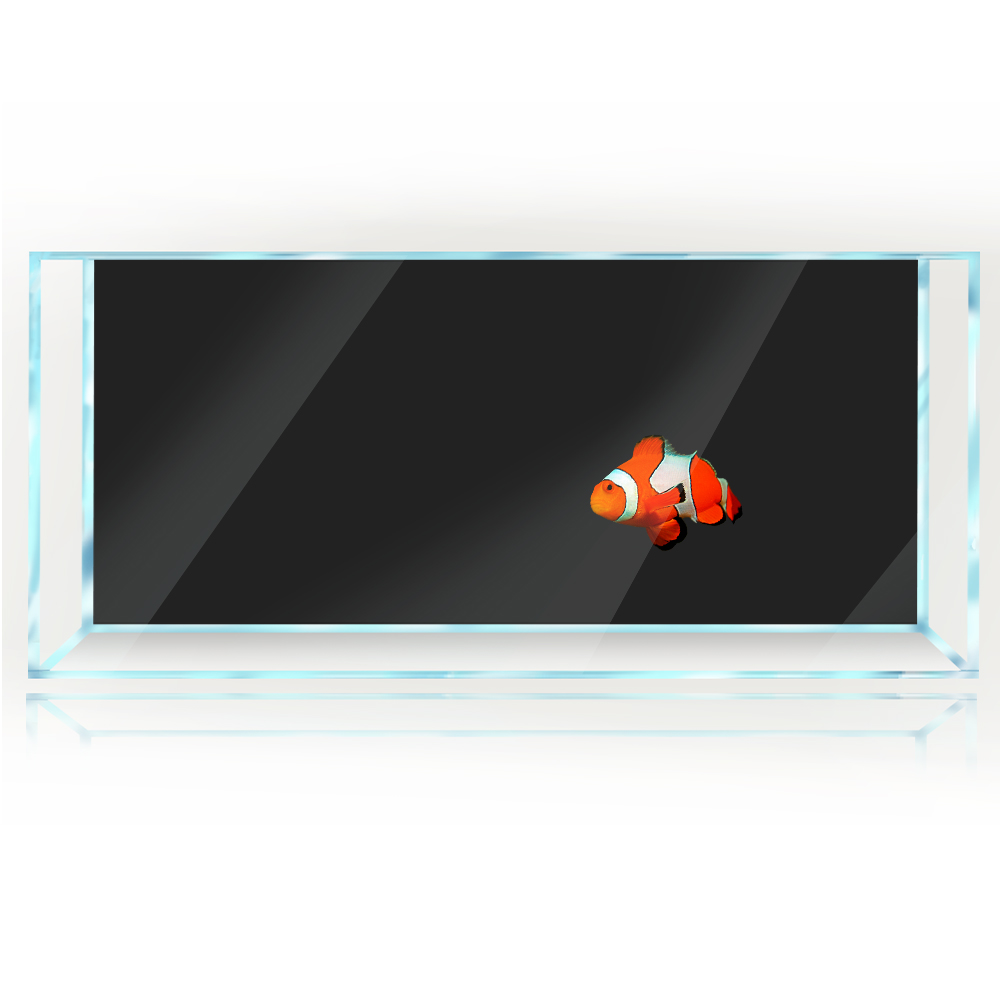 Fish Tank Background White Yel - Aquarium Fish Yellow And Black のレビューと価格