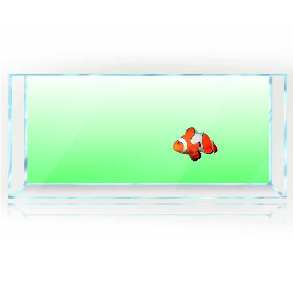 Fish Tank Background White Yel - Aquarium Fish Yellow And Black のレビューと価格