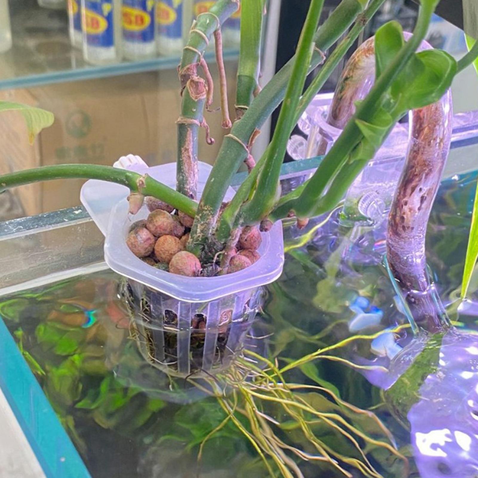 Hydroponic Plant Hanging Holde - Aquarium Fish Elevator のレビューと価格