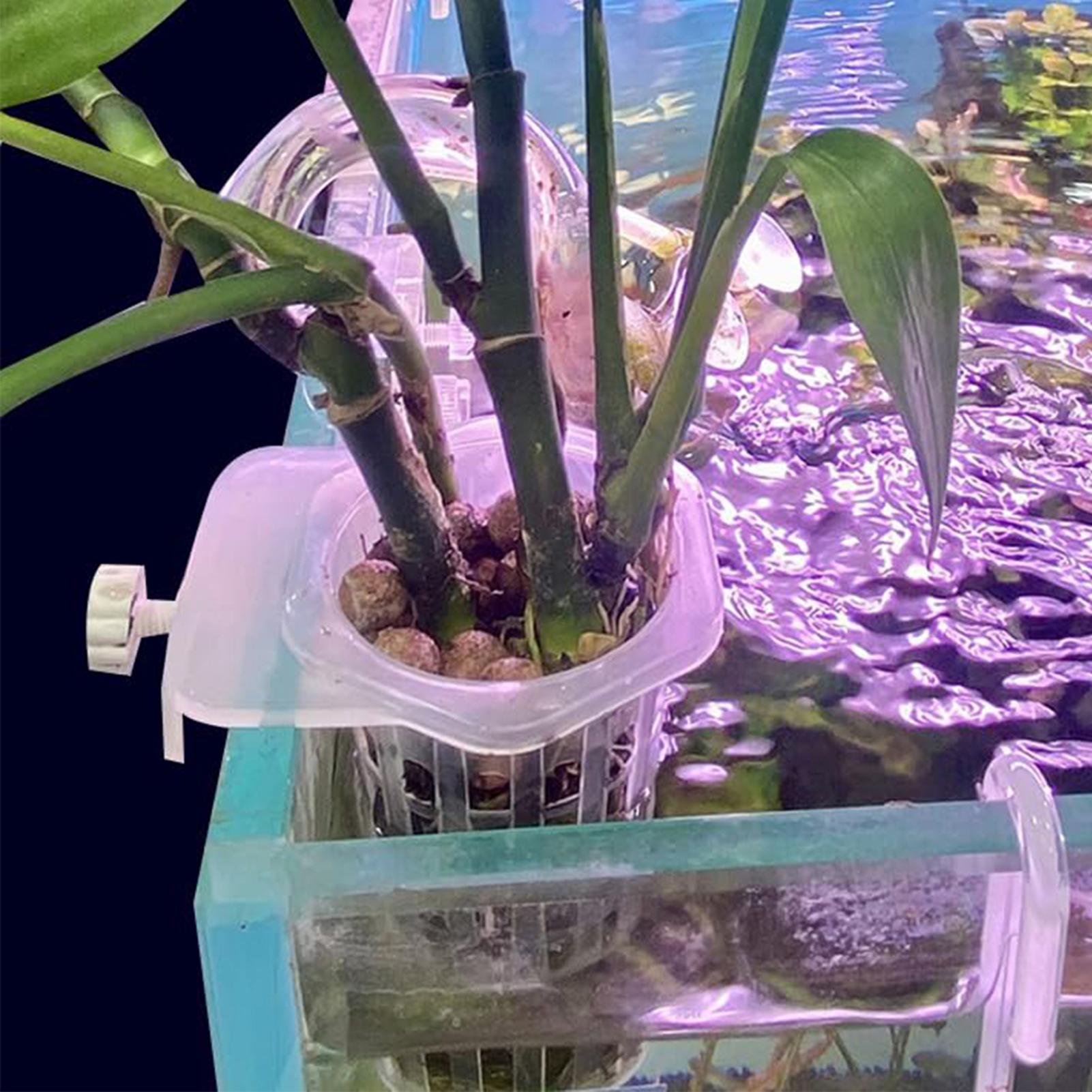 Hydroponic Plant Hanging Holde - Aquarium Fish Elevator のレビューと価格
