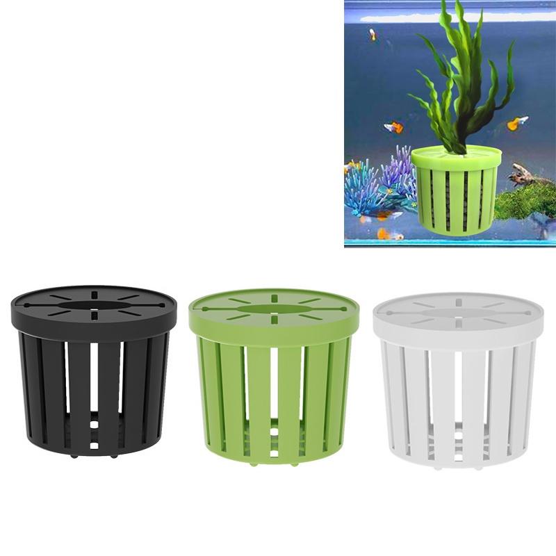 4Pcs Pet Fish Tank Landscaping - Aquarium Fishes のレビューと価格