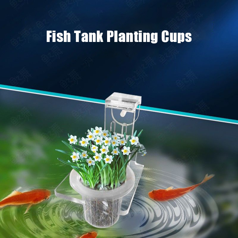 Fish Tank Planting Cups Hydrop - Aquarium Fish Elevator のレビューと価格