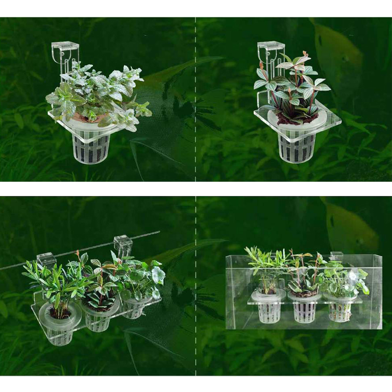 Fish Tank Planting Cups Hydrop - Aquarium Fish Elevator のレビューと価格