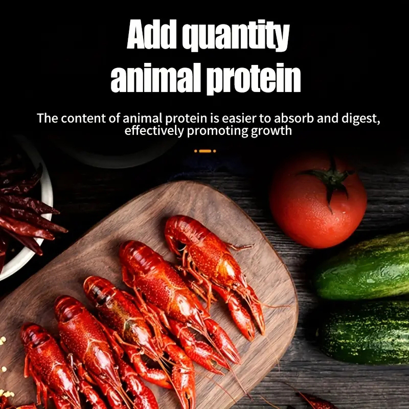 Goldfish Variety Pellets, Colo - Aquarium Fish Variety のレビューと価格