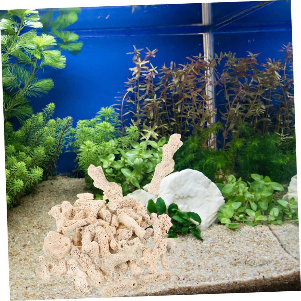 Crushed Coral Filter for Fresh - Aquarium Fishes のレビューと価格