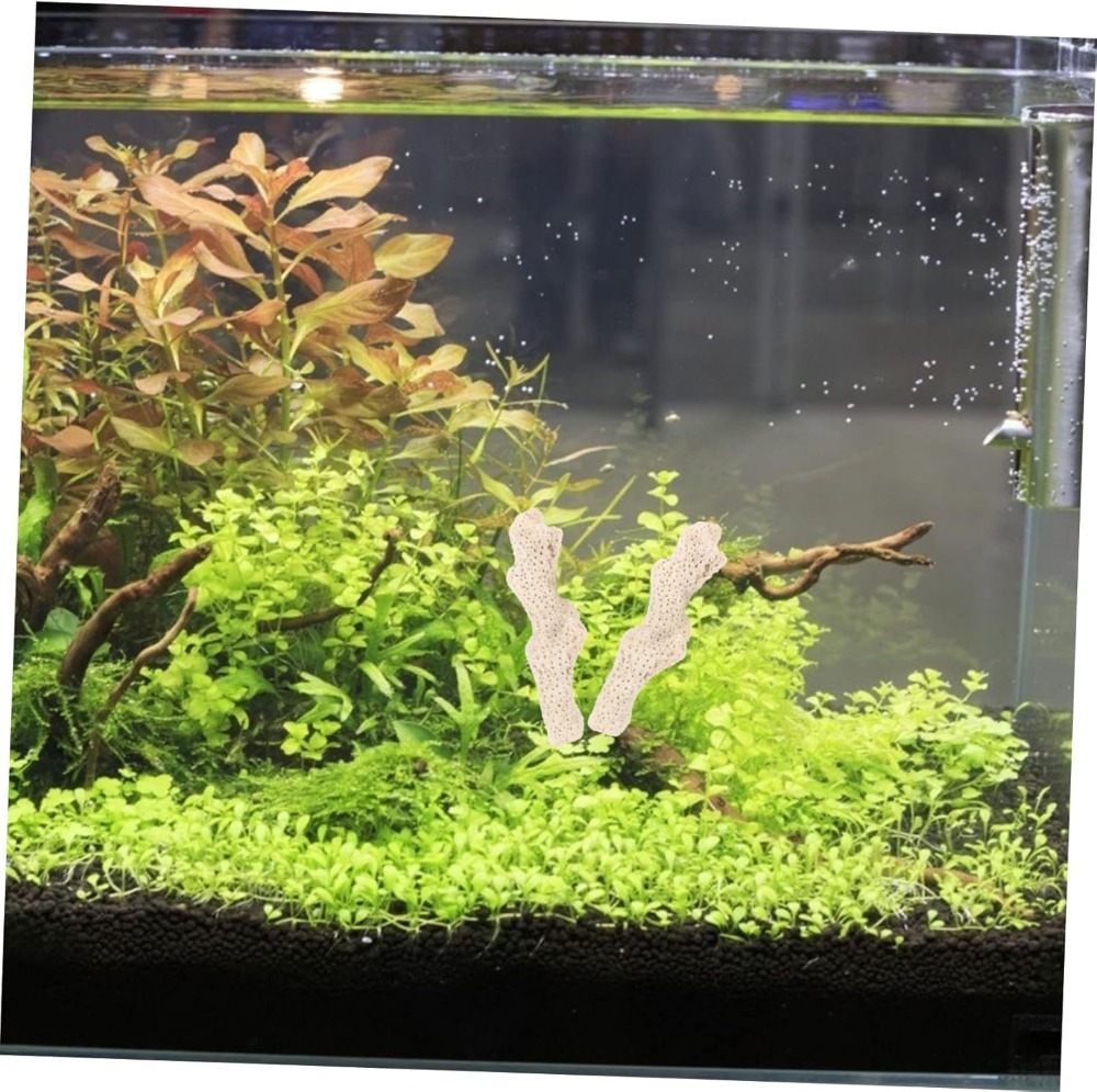 Crushed Coral Filter for Fresh - Aquarium Fishes のレビューと価格