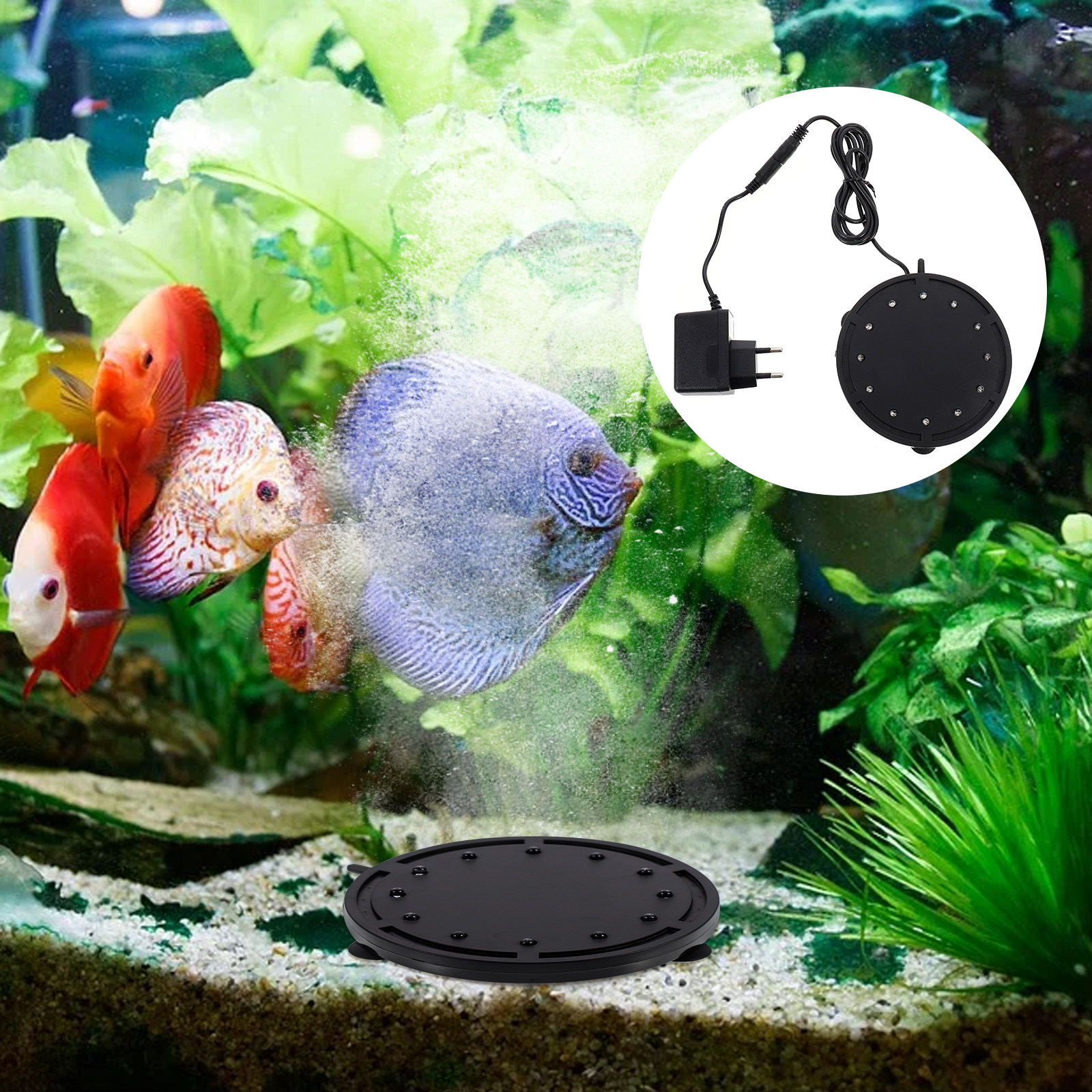 Fish Tank Air Bubble Light Aqu - Aquarium Fish Quality のレビューと価格