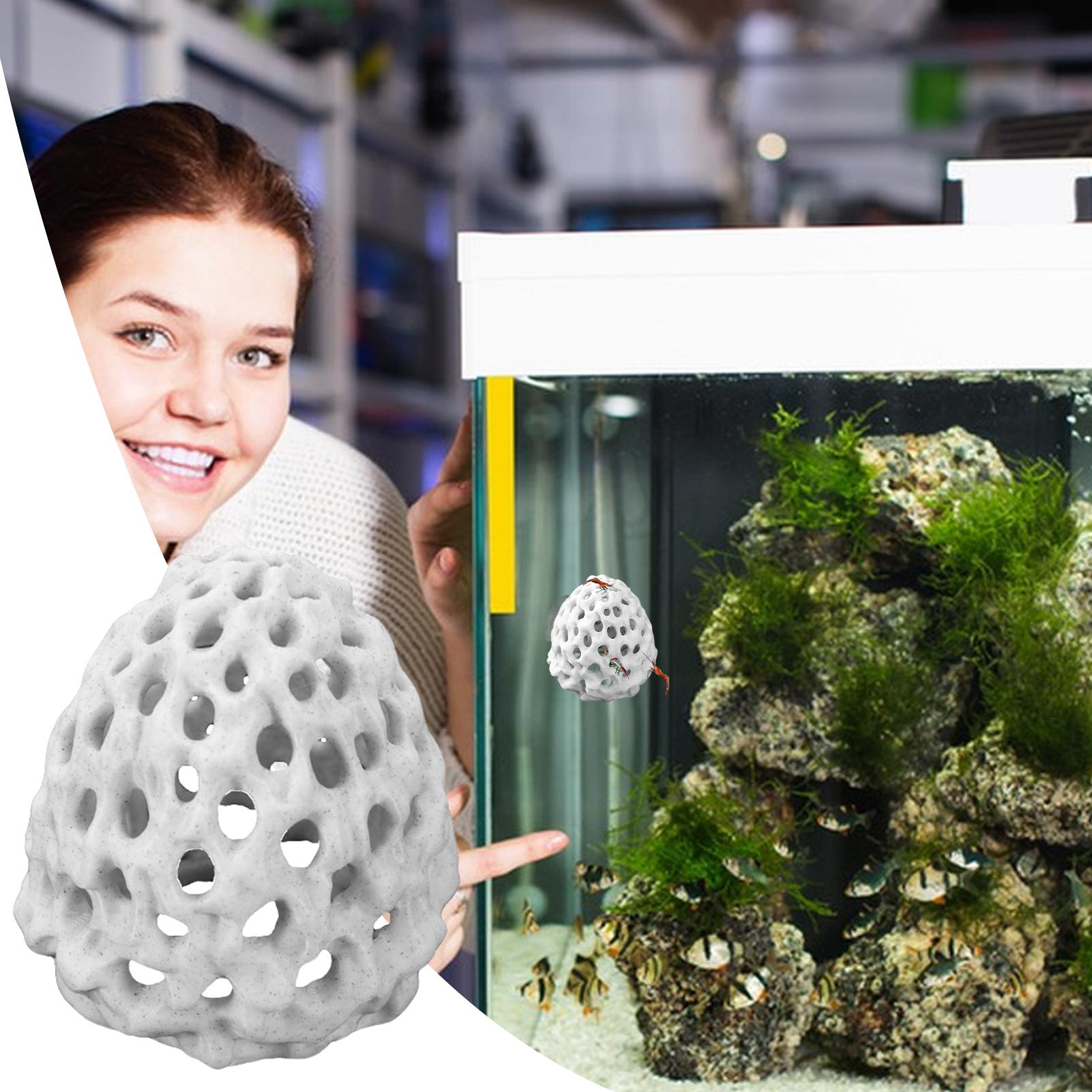 Small Aquarium shrimp house Ca - Aquarium Fish In Bowl のレビューと価格