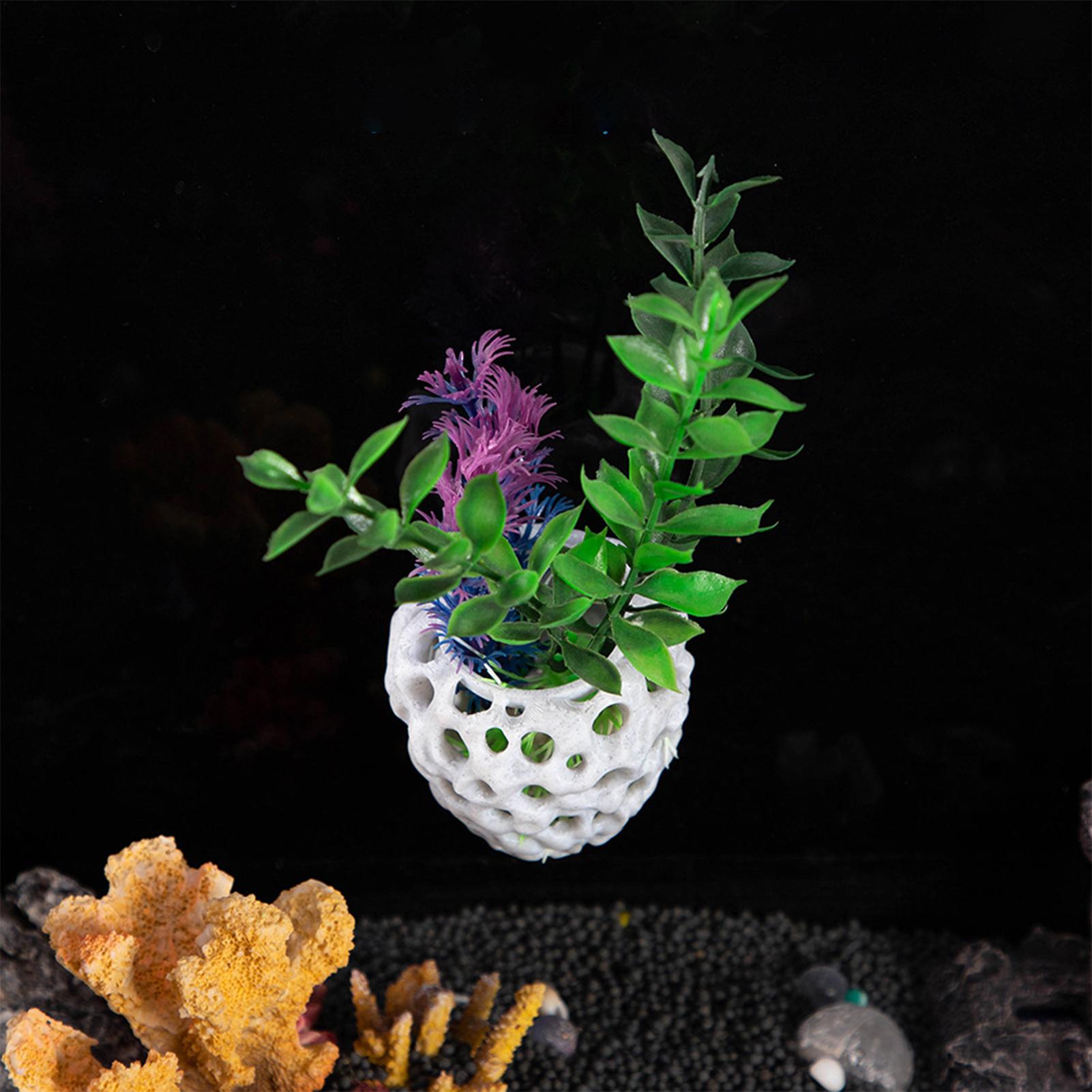 Small Aquarium shrimp house Ca - Aquarium Fish In Bowl のレビューと価格