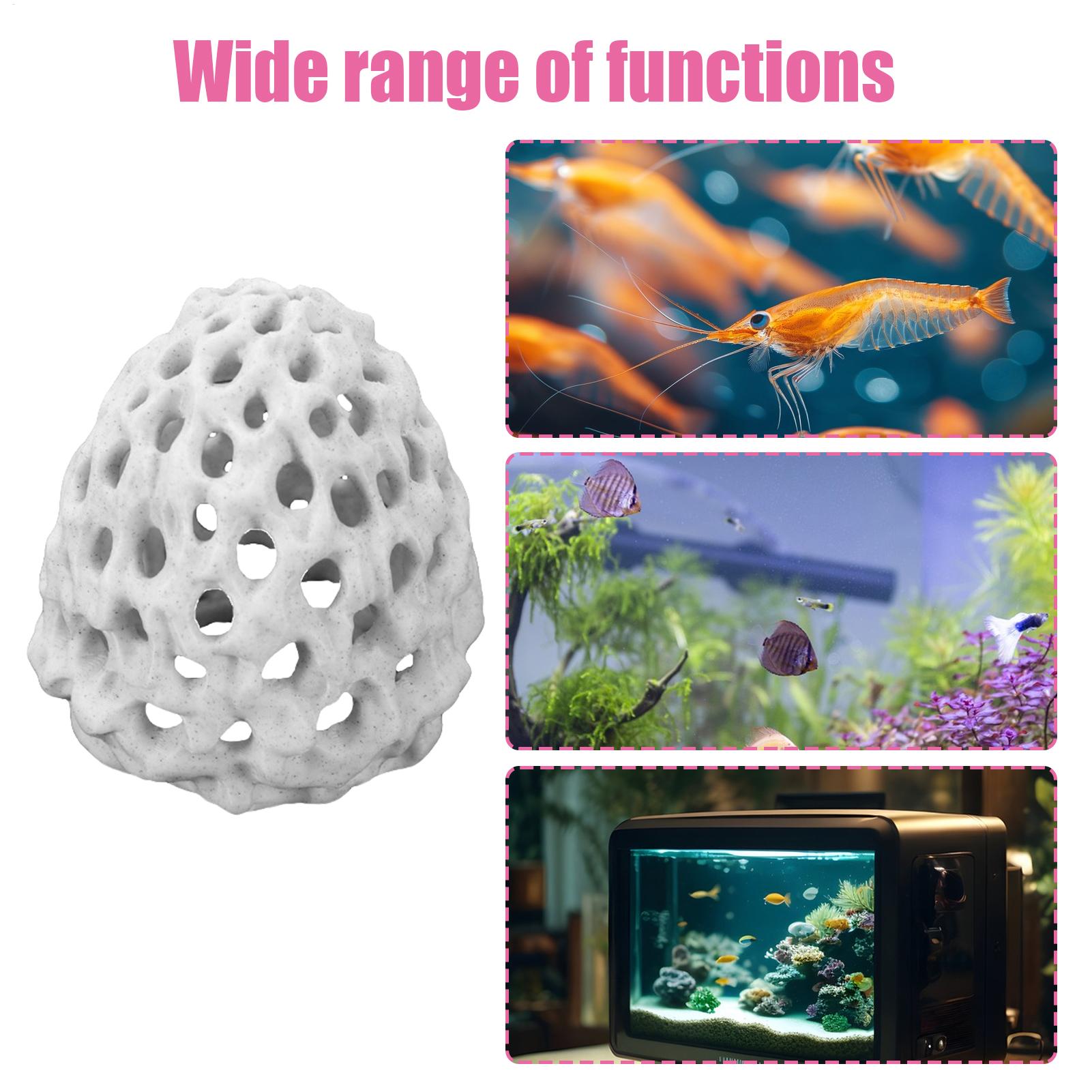 Small Aquarium shrimp house Ca - Aquarium Fish In Bowl のレビューと価格