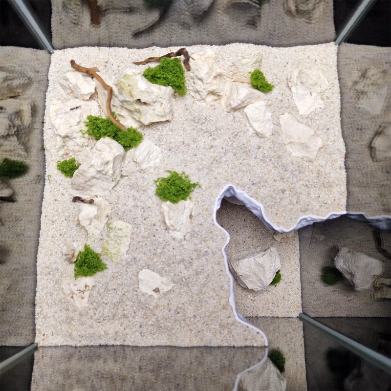 Reptile/Fish Tank Landscaping  - Aquarium Fish Elevator のレビューと価格