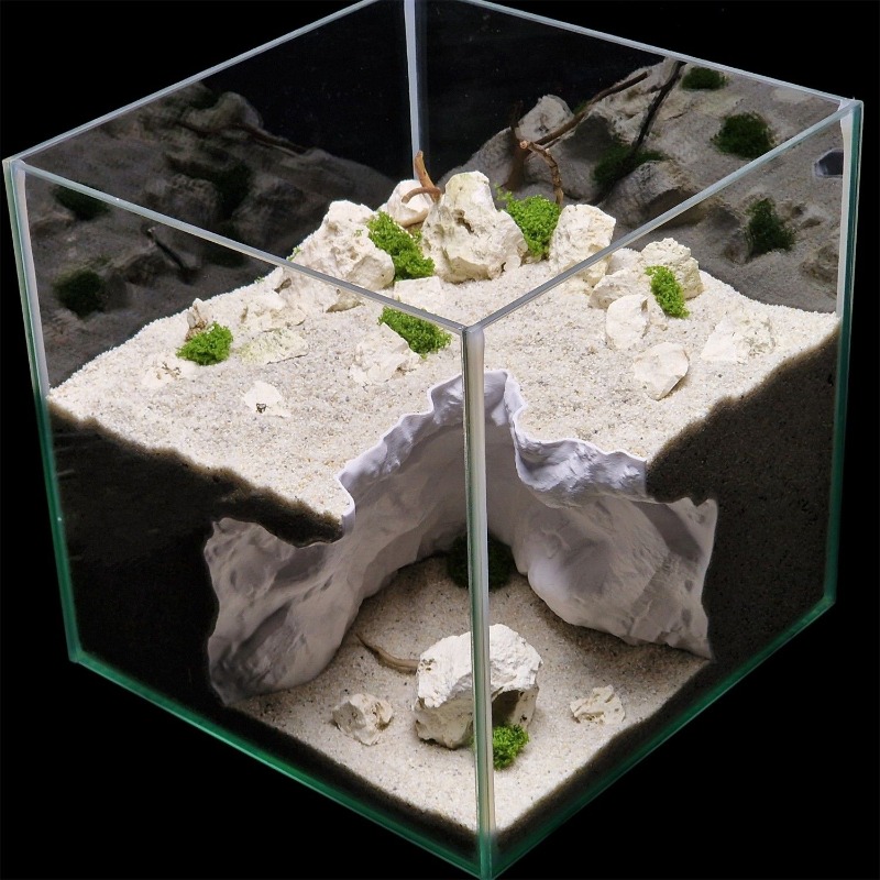Reptile/Fish Tank Landscaping  - Aquarium Fish Elevator のレビューと価格