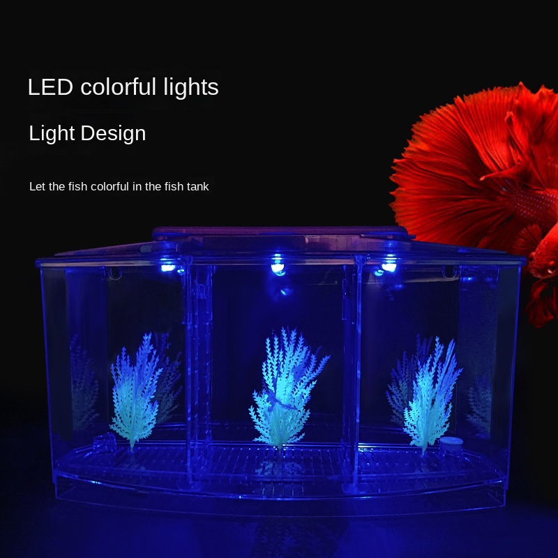 Mini Small Fish Tank Aquarium, - Aquarium Fish In Bowl のレビューと価格