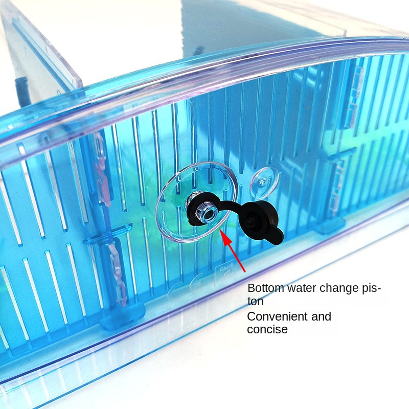 Mini Small Fish Tank Aquarium, - Aquarium Fish In Bowl のレビューと価格