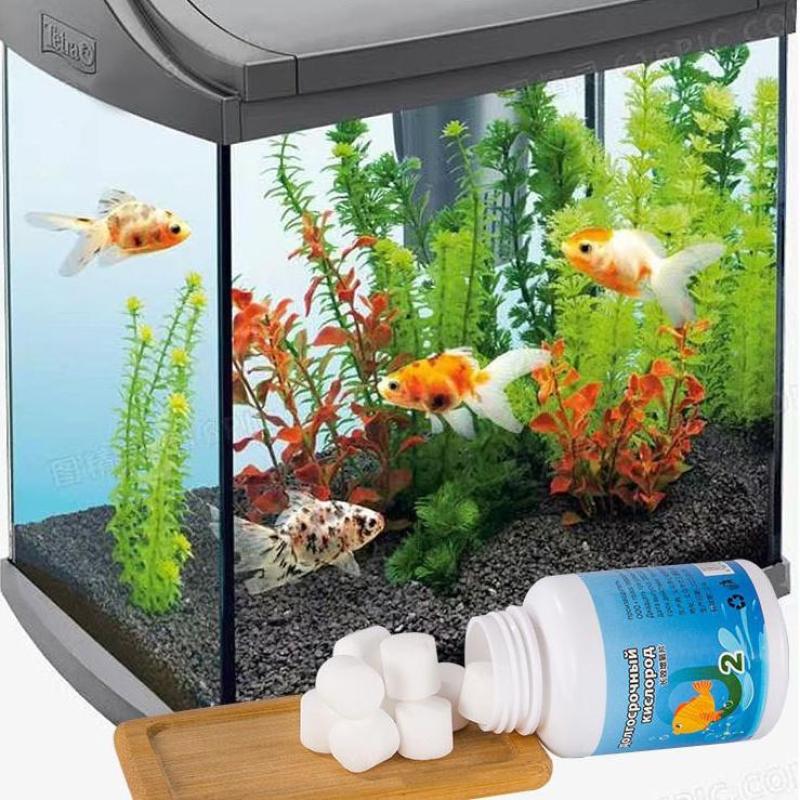 Aquarium Longterm Oxygen Table - Aquarium Fish In Bowl のレビューと価格