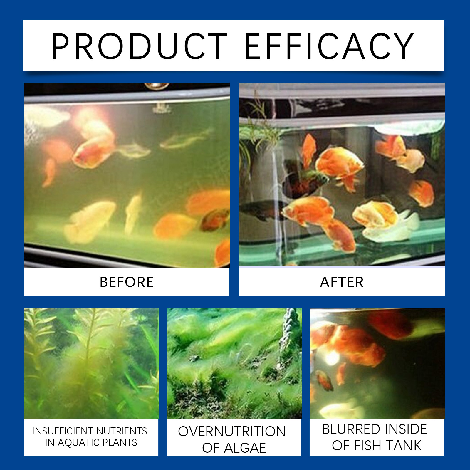 Aquarium Water Clarifier 100ml - Aquarium Fish Quality のレビューと価格