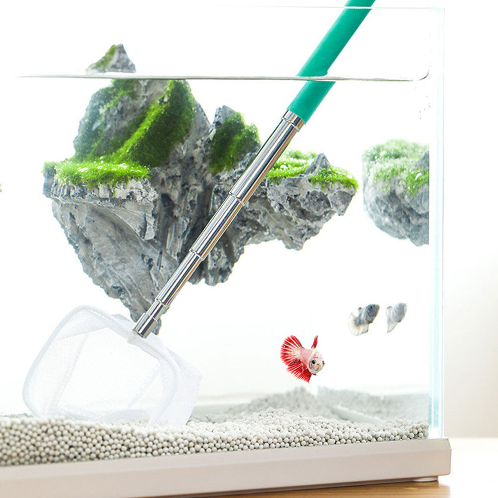 Telescopic Fish Landing Net 3D - Aquarium Fishland のレビューと価格