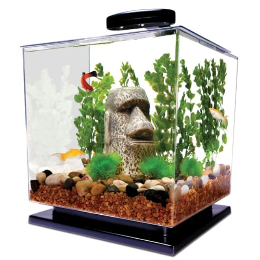 3 Gallon Fish Tank Aquarium St - Aquarium Goldfish のレビューと価格