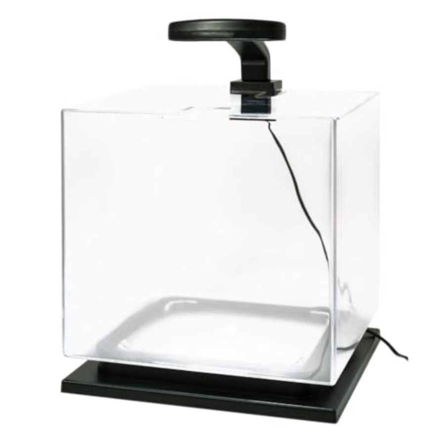 3 Gallon Fish Tank Aquarium St - Aquarium Goldfish のレビューと価格