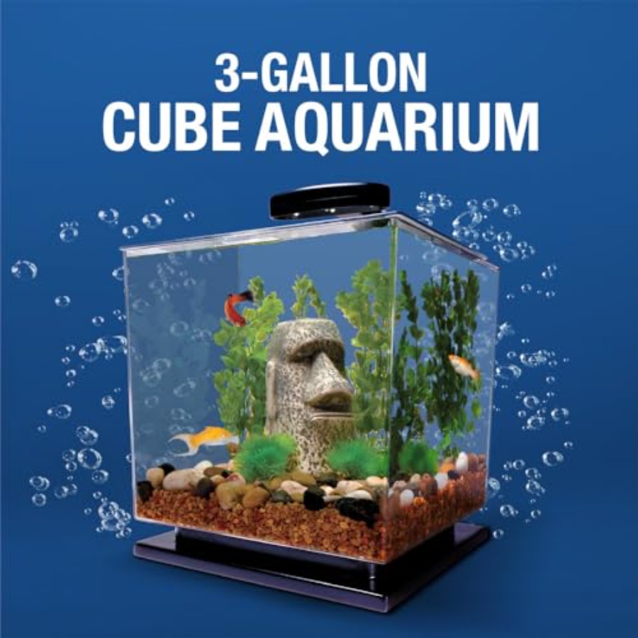 3 Gallon Fish Tank Aquarium St - Aquarium Goldfish のレビューと価格