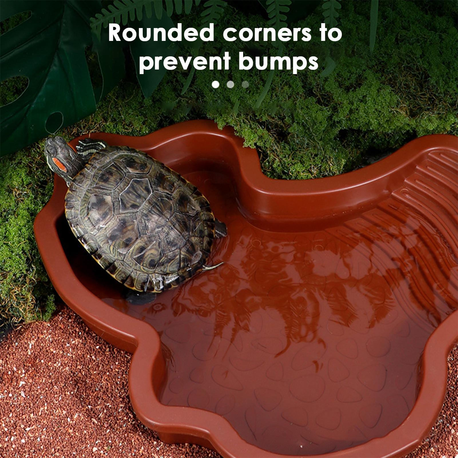 Reptile Bathing Pool Aquarium  - Aquarium Fish In Bowl のレビューと価格