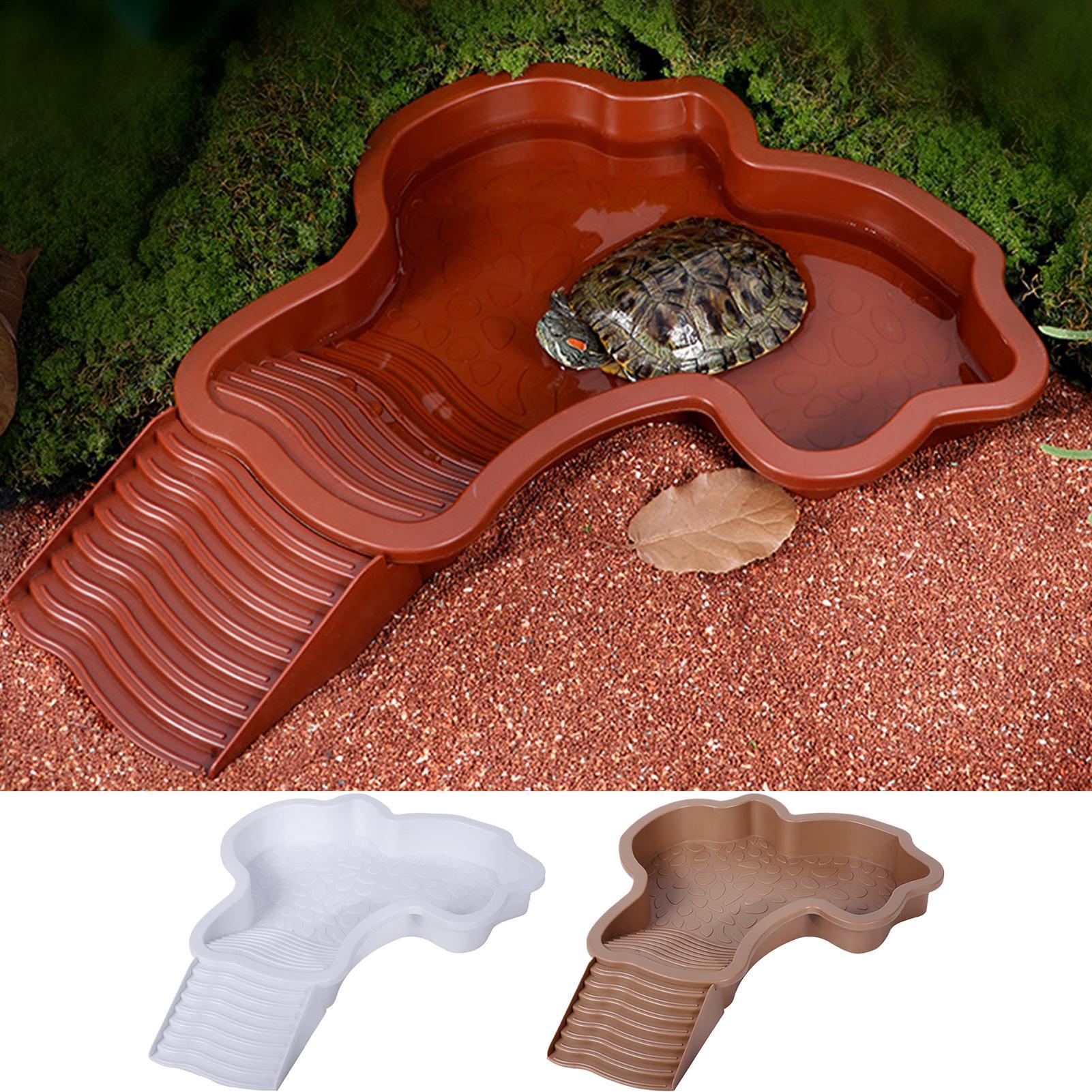 Reptile Bathing Pool Aquarium  - Aquarium Fish In Bowl のレビューと価格