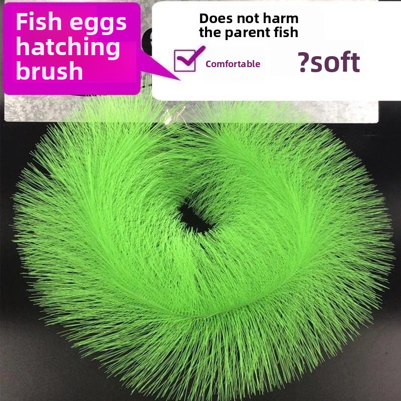 Breeding Grass for Koi Fish Eg - Aquarium Goldfish のレビューと価格
