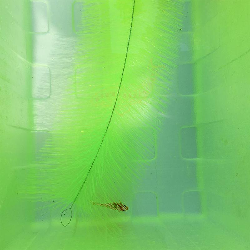 Breeding Grass for Koi Fish Eg - Aquarium Goldfish のレビューと価格