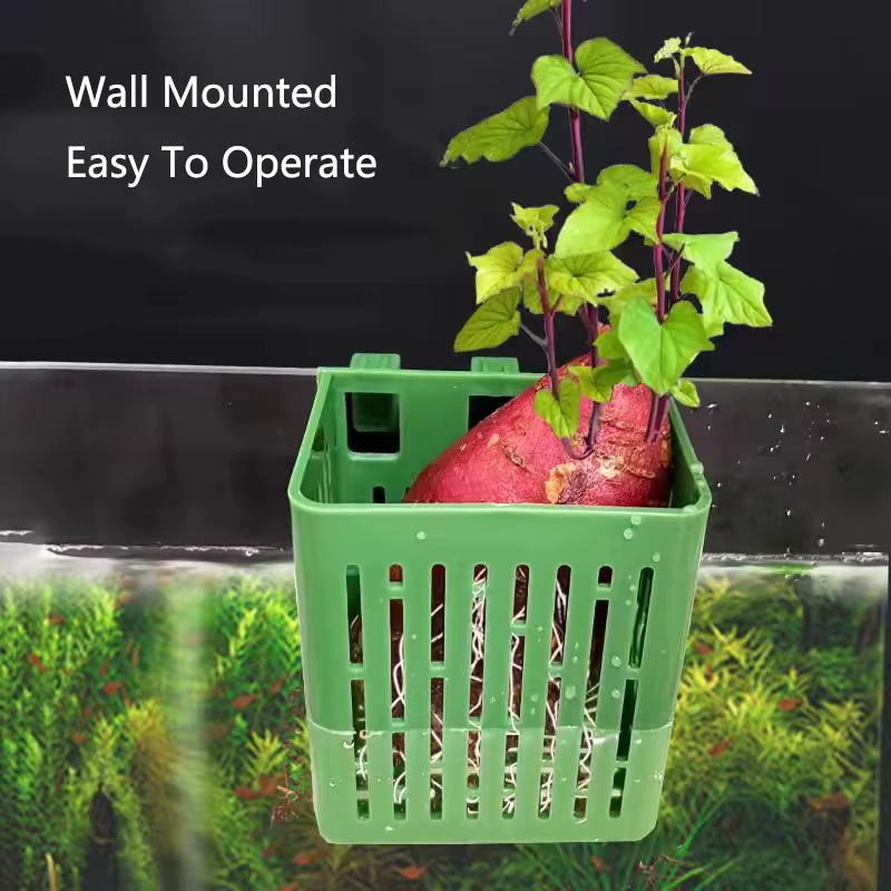 Fish Tank Water Grass Cup Aqua - Aquarium Fish Elevator のレビューと価格