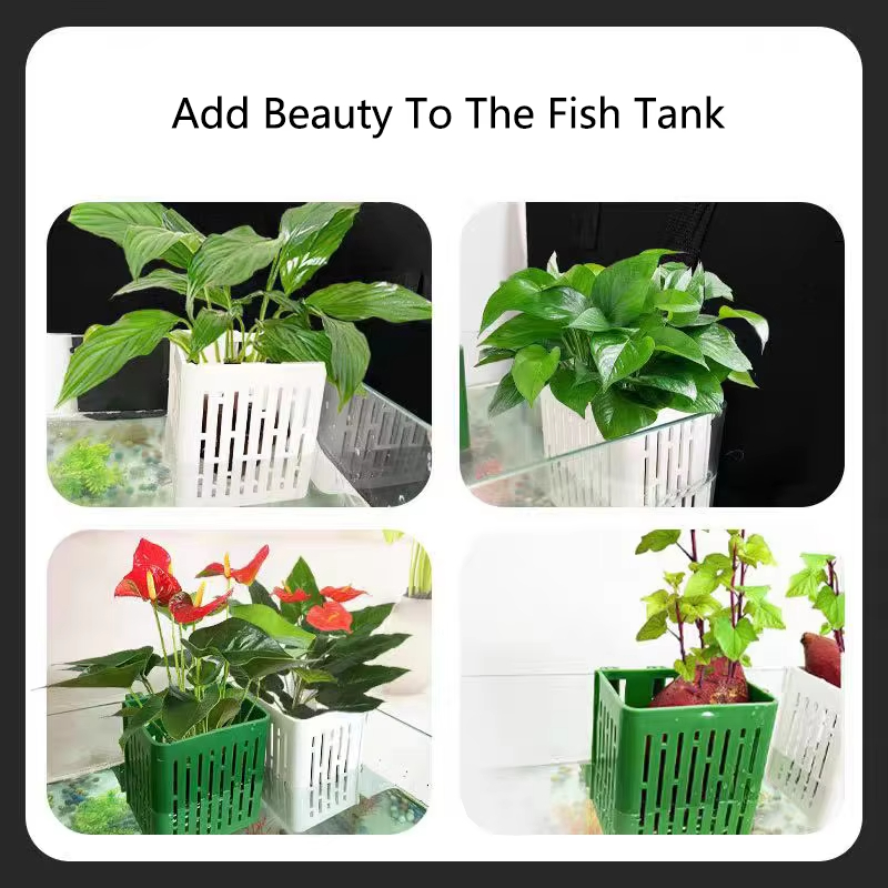 Fish Tank Water Grass Cup Aqua - Aquarium Fish Elevator のレビューと価格